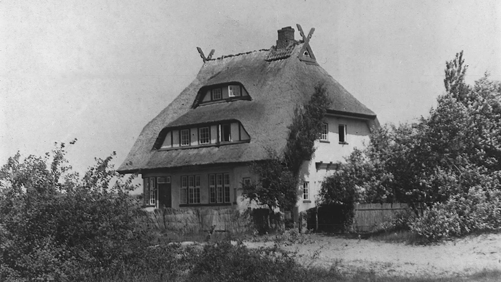 Historische Schwarz-Weiß-Aufnahme von Haus Windhook – das reetgedeckte Haus mit sandigem Weg und Sträuchern in den Dünen von Dierhagen